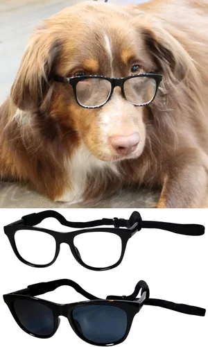 Vista 22 de G006 - Lentes de sol para disfraz de perro mascota de los años 80, para sesión de fotos, razas medianas de 20 a 40 libras