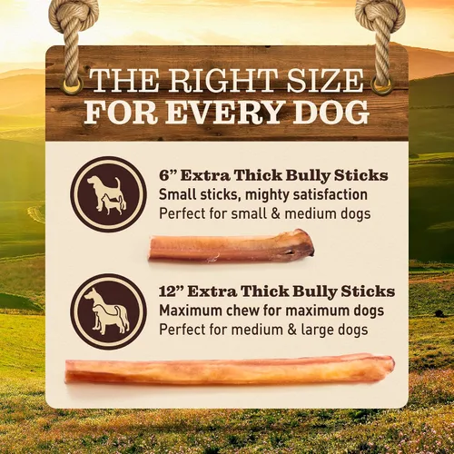 Vista 6 de Palitos masticables extra gruesos y libres de olor para perros grandes (6", paquete de 10) – Bocadillos para perros duraderos 100% naturales hechos