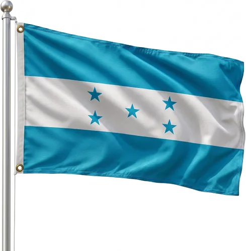 Vista 76 de DMSE - Bandera nacional beninesa beninesa de la República de África Occidental, 2 x 3 pies, 100 % poliéster, 100 % poliéster, resistente a los rayos