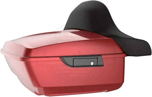 Vista 47 de Moto Onfire King Tour - Maletero con almohadilla de respaldo para Harley Touring 1997+ (Barracuda Silver)