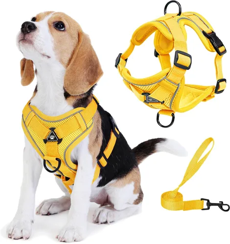 Vista 11 de Arnés para perro Jolifield sin tirones con juego de correa para perros pequeños, arnés de chaleco para gatos con clip frontal ajustable reflectante