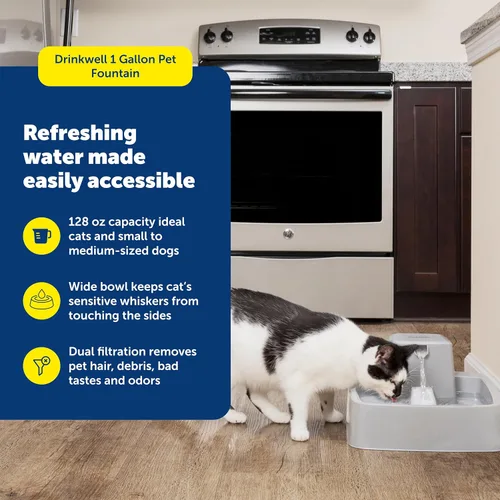 Vista 2 de PetSafe Oasys - Fuente mediana para mascotas de 1 galón (128 onzas), fuente de agua para gatos o perros de raza media, dispensador de agua filtrado