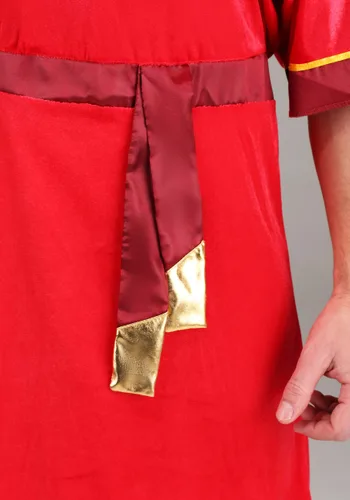 Vista 3 de Disfraz de Kuzco Las locuras del Emperador de Disney hombre Multicolor