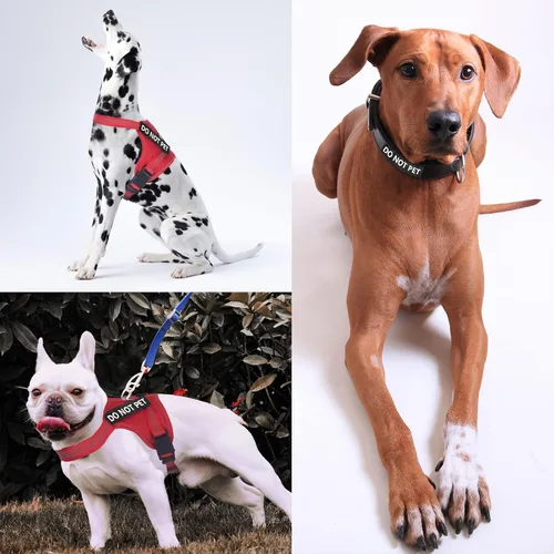 Vista 6 de NOYAL Parches de chaleco para perro, perro de servicio/en entrenamiento/apoyo emocional/perro de terapia/parches de poliuretano para no mascotas; 2