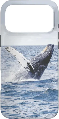 Vista 22 de Whale Case for iPhone 17
