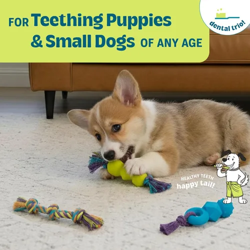 Vista 4 de Outward Hound Mini Dentachew - Juego de masticables dentales para perros - 3 paquetes - Gran tamaño para perros pequeños y cachorros