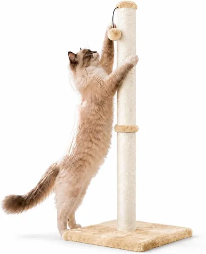 Vista 18 de Dimaka - Poste rascador para gatos de 34 pulgadas de alto, con cuerda de sisal y cubierto con suave felpa suave, rascador vertical