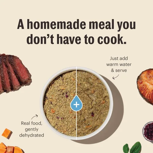 Vista 5 de The Honest Kitchen Alimento integral deshidratado de grado humano para perros, pavo integral y pescado blanco, 10 libras