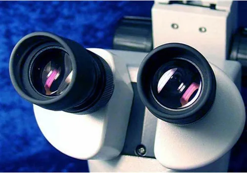 Vista 5 de AmScope SM-3B-FRL Microscopio de zoom estéreo binocular profesional, ocular WH10x, aumento 7X-45X, objetivo de zoom 0.7X-4.5X, luz de anillo