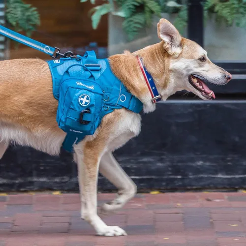 Vista 5 de Kurgo Kit de primeros auxilios para perros RSG Kit de emergencia compacto de 49 piezas, compatible con MOLLE, se fija a arneses, cinturones