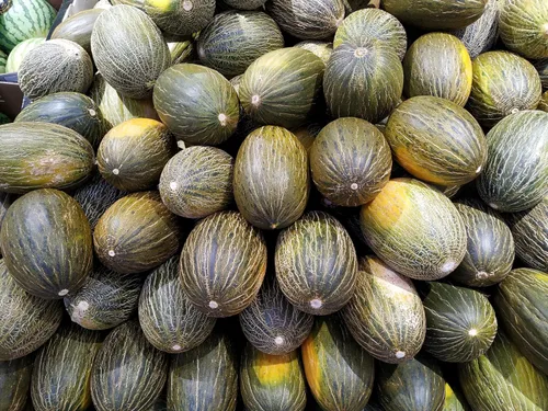 Vista 6 de 50 PIEL de SAPO Melón Santa Claus Navidad Melón Verde Amarillo Cucumis Melo Semillas Frutas