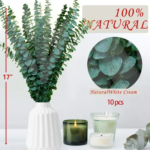 Vista 2 de 10 tallos de eucalipto secos para ducha de 17 pulgadas, tallos de eucalipto colgantes naturales reales, ramas de hojas frescas reales para relleno