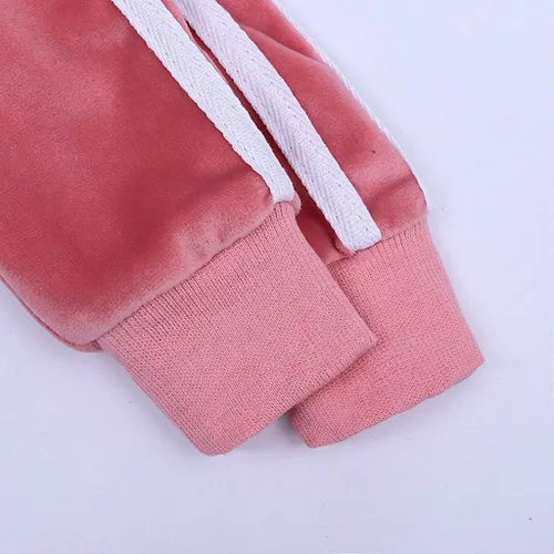 Vista 8 de Conjunto de sudadera de vellón cálido con capucha y pantalones largos para niños pequeños (rosa, 2-3 años)
