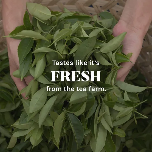 Vista 6 de Uncle Lees Tea Organic Legends of China - Té verde de jazmín 100 natural premium bolsas de té verde sabor fresco disfruta con miel té caliente