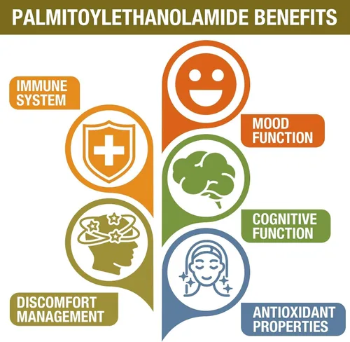 Vista 3 de Palmitoiletanolamida de 1500 mg con luteolina 98% y cúrcuma, alta absorción, suplemento de guisantes micronizados para el manejo de molestias