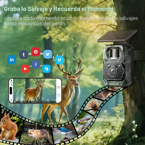 Vista 9 de Cámara de Rastreo Solar WiFi Bluetooth - Cámaras de Caza con Visión Nocturna, Sensor de Movimiento, Impermeable, Cámara de Ciervos Recargable