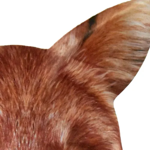 Vista 6 de Máscara de disfraz de animal con estampado realista