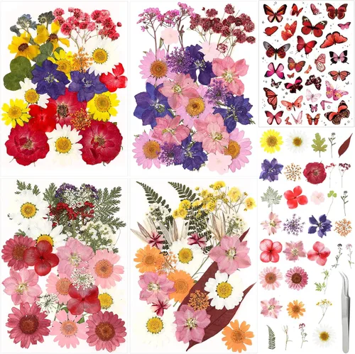 Vista 12 de 160 piezas de flores secas prensadas a granel natural, rosa, rosa