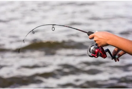 Vista 8 de Ugly Stik Dock Runner - Combo de carrete giratorio y caña de pescar