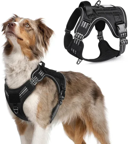Vista 55 de rabbitgoo Arnés táctico para perros pequeños, chaleco de servicio militar sin tirones con asa y Molle, de fácil control para entrenar y caminar