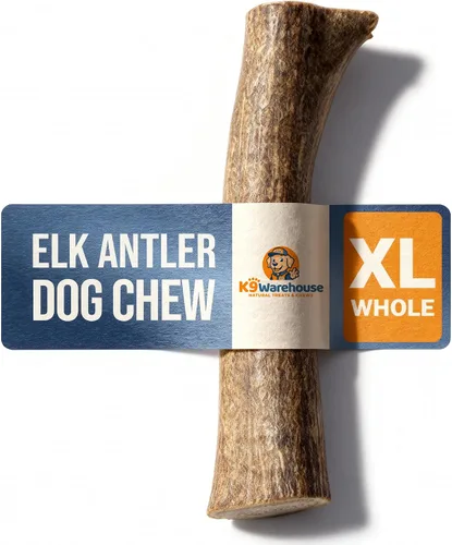 Vista 11 de K9warehouse Cuernos de alce natural para perros, cuernos masticables de calidad prémium para perros, cuernos de ciervo enteros de larga duración