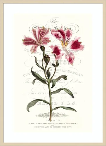 Vista 7 de Amanti Art Vision Studio - Lienzo decorativo para pared, 24 x 18 pulgadas, varietales de jardín de flores, arte de pared de flores, decoración