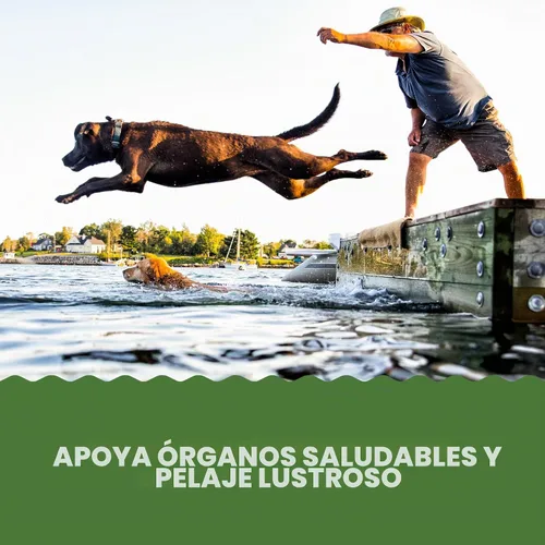 Vista 5 de Grizzly Pet Products Algal Plus Omega 3-6-9 Suplemento alimenticio para perros y gatos, botella de 8 onzas naranja dorada