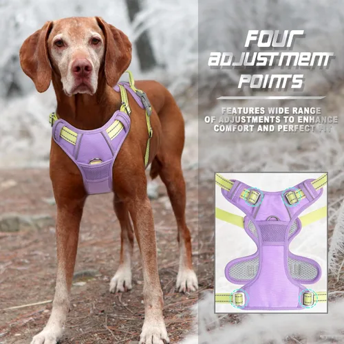 Vista 46 de BARKBAY - Arnés para perro sin tirones con clip frontal, material resistente y reflectante, asa de fácil control para pasear perros grandes