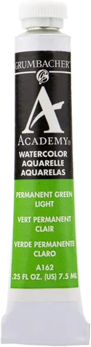Vista 15 de Grumbacher Academy Pintura de acuarela, 0.3 fl oz/0.25 onzas, óxido de cromo verde (A048)