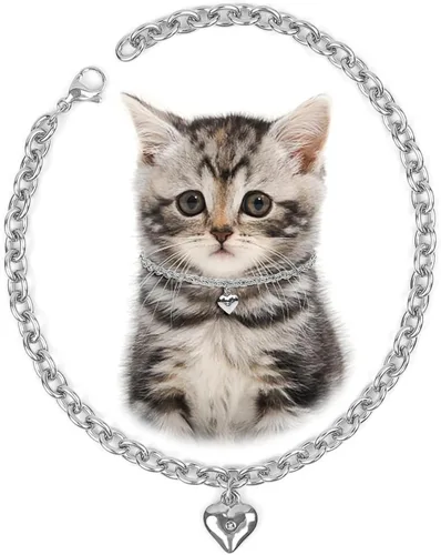 Vista 11 de HOWWFALY Collar para Perro y Cadena Collar para Gato de Acero Inoxidable Ajustable Collar en Forma de Corazón de Oro 18K para Mascotas Pequeñas