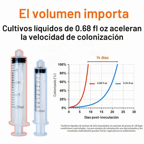 Vista 3 de Melena de León (Hericium Erinaceus) Cultivo Líquido 20mL Sustrato Micología