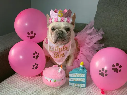 Vista 2 de Bandana de cumpleaños para perro, suministros de fiesta de cumpleaños para niñas, bandana para perros pequeños y medianos