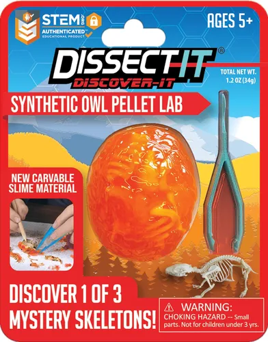 Vista 12 de Discover-It Kit de disección para niños, kit de laboratorio científico de ámbar sintético para aprender sobre insectos, juguetes científicos