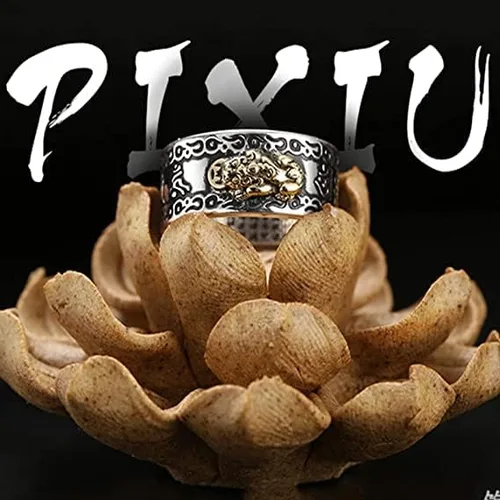 Vista 4 de Feng Shui Pixiu Mantra Ring, 2 anillos Feng Shui para hombres y mujeres, Feng Shui Pixiu Mani Mantra Protection Ring, Feng Shui Ring para riqueza