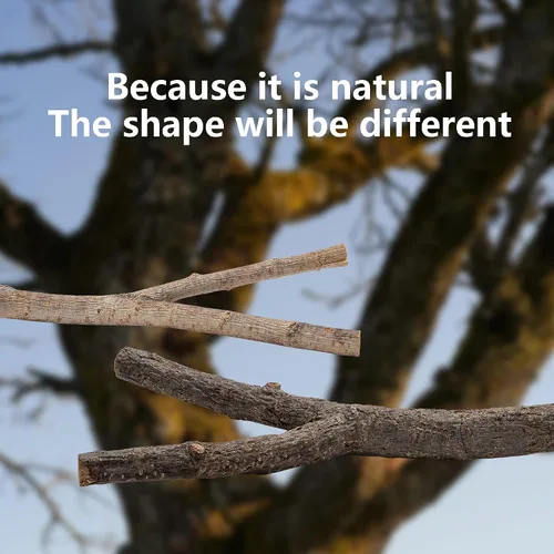 Vista 5 de EBaokuup 5 perchas para pájaros de madera natural para loro, soporte de madera para loros, ramas, jaula, accesorios para pájaros pequeños