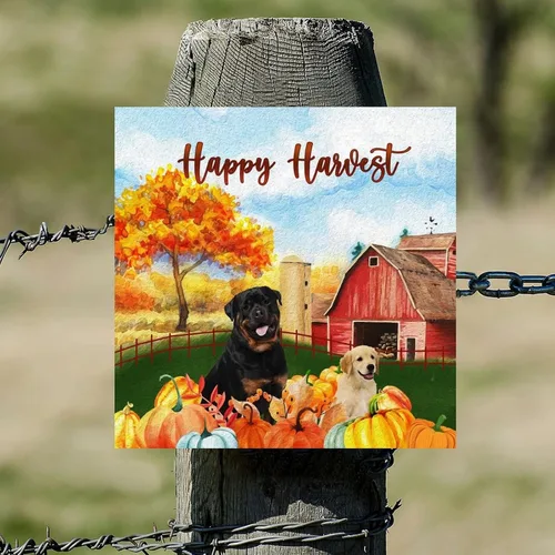 Vista 5 de Happy Harvest Labrad Doodle Dog Barn Wood Sign Fall Pumpkin Wall Plaque Pumpkin Farm Wood Panels Classic Home Wall Hanging Sign Decoration for Front