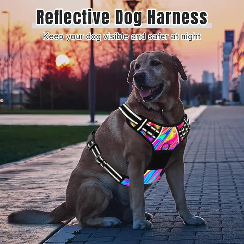 Vista 6 de Rnivvi Arnés para perro sin tirones, bonito arnés reflectante de tamaño extra pequeño, chaleco acolchado suave ajustable para perros pequeños