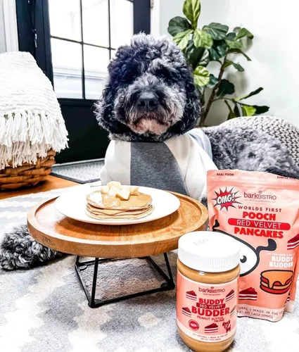 Vista 5 de BUDDY BUDDER Panqueques de cumpleaños de Bash Pooch - Regalo divertido, brunch con tu cachorro, o apilarlos para cumpleaños de perro con vela, 100%