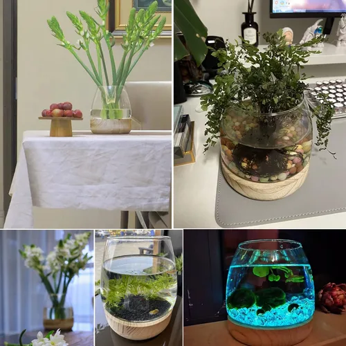 Vista 4 de Jarrón de cristal con base de madera desmontable, pequeña planta hidropónica de escritorio, terrario ecológico para acuario, florero para peces