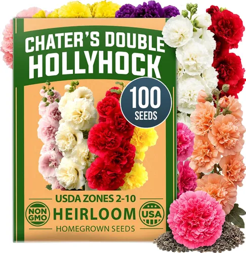 Vista 128 de HOME GROWN Bachelor Button Tall Mix 700+ Semillas de flores Centaurea