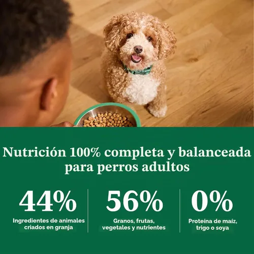 Vista 8 de Nutro Natural Choice Small Bites - Alimento seco para perros, pollo y arroz, 30 libras