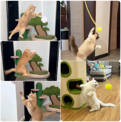 Vista 3 de Juguete de primavera para gatos saltando – Si a tus gatos les encantan los juguetes de varita, prueba esto Enriquecimiento interactivo colgante