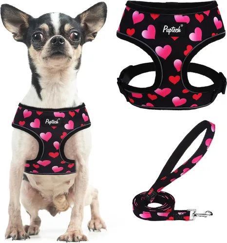 Vista 19 de PUPTECK Juego de arnés y correa de malla suave para perro, cachorro y gato, cómodo chaleco acolchado sin tirones, azul Pascua, S
