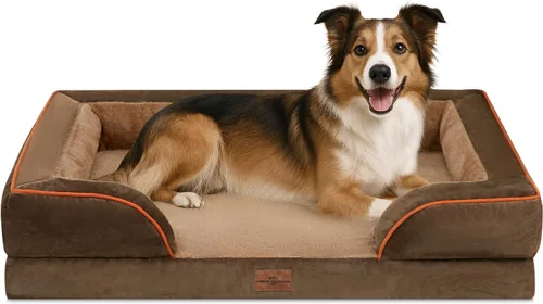 Vista 113 de Comfort Expression - Cama ortopédica para perros medianos, 28 x 19 pulgadas, cama impermeable y de apoyo de espuma con cojines removibles, sofá