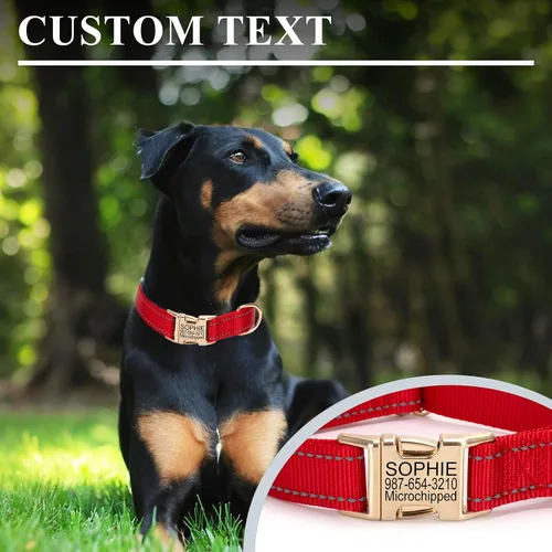 Vista 3 de Collar de perro de nailon reflectante personalizado con etiqueta de nombre Collares de perro con hebilla dorada grabados personalizados Collar