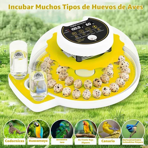 Vista 8 de Incubadora de huevos de codorniz 40 con huevos de control de humedad de Amarillo