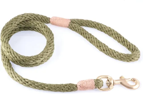 Vista 147 de Alvalley Correa para perros estilo broche – Correa de nailon estilo broche para perros – Fácil de manejar – Perfecto para perros pequeños, medianos
