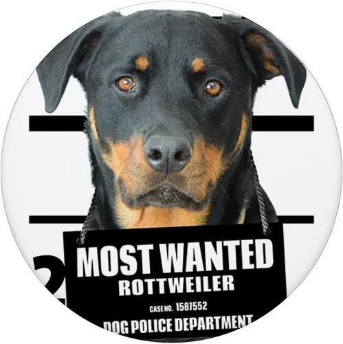 Vista 3 de Rottweiler B Black Phone Holder Mount Car Kids PopSockets Swappable PopGrip