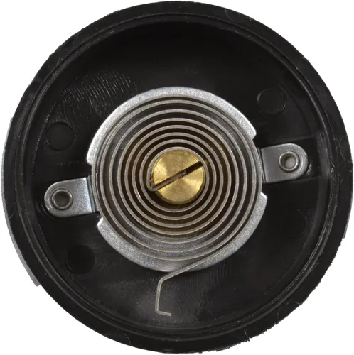 Vista 2 de Hygrade Termostato de estrangulador CV243