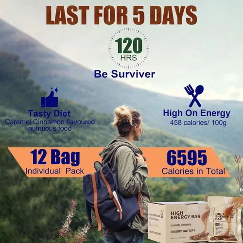 Vista 4 de Barras de alimentos de emergencia - Hardtack de caramelo y canela, MRE Meals Military 2025, larga vida útil, barras de ración de comidas